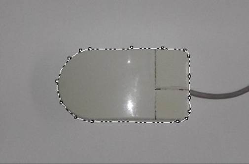 A picture containing accessory

Description automatically generated
