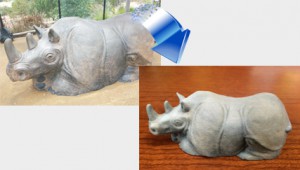 RhinoIntro1