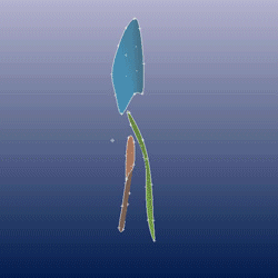 Fan Side Animation